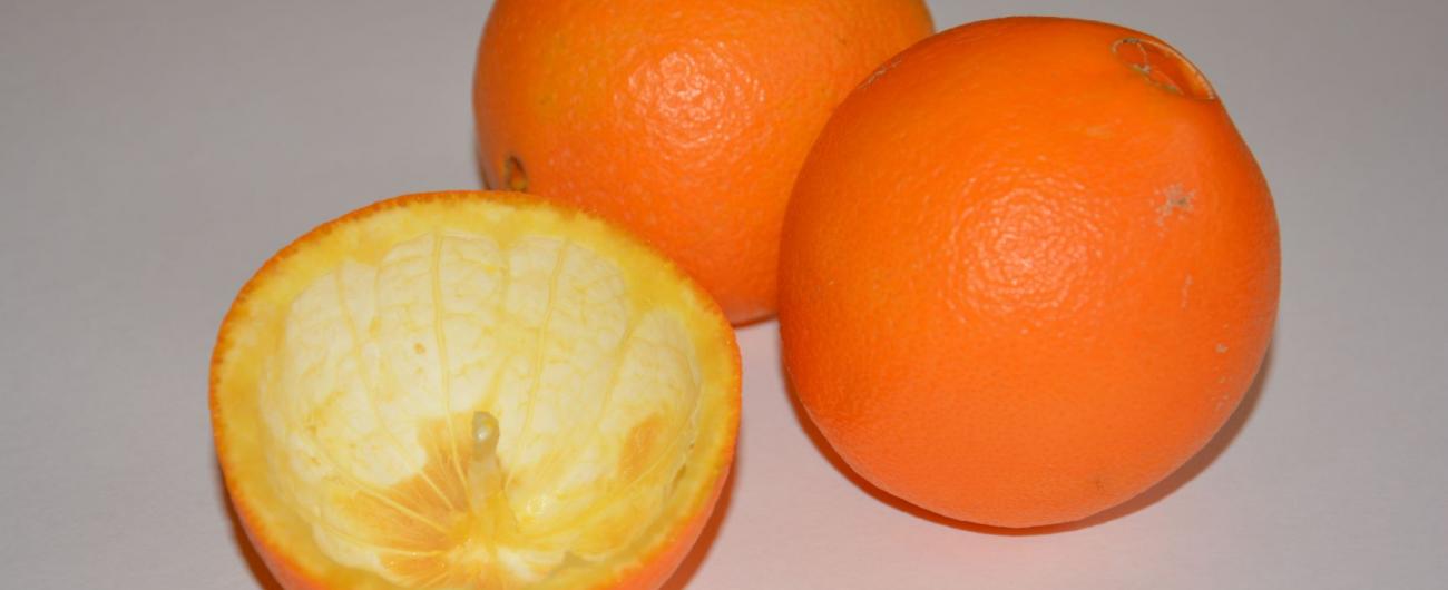 Orangenschale, Foto: Annika Müller