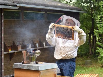 Imker Peter Rauscher bei der Untersuchung eines Bienenstocks. Foto: Peter Rauscher