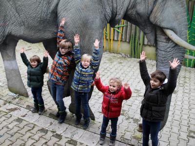 Kinderprogramm bei den Elefanten im Augsburger Zoo. Bild: Peter Bretscheider