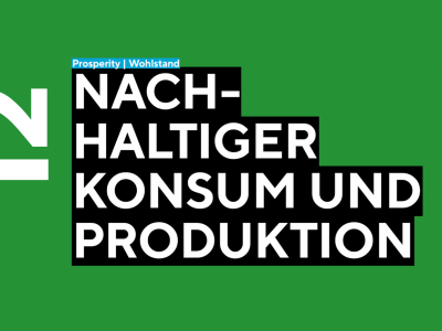 SDG 12 - Nachhaltige Konsum- und Produktionsmuster