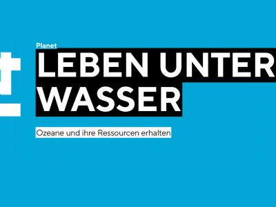 SDG 14: Leben unter Wasser