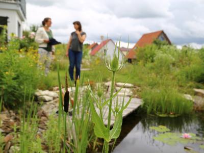 So kann eine Gartenbegehung einer Gartenjury aussehen: In einem grün blühenden Garten und einem Teich mit Seerosen. Urheberrecht: Carola Bria