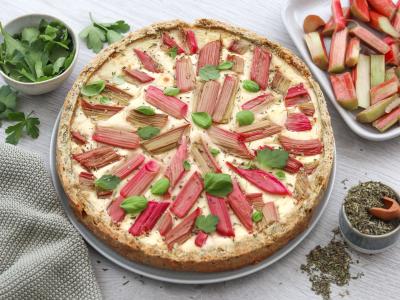 Das Bild zeigt einen runden Käsekuchen mit Sternen aus Rhabarber und mit Basilikumblätter verziert. Daneben steht am rechten unteren Rand ein Töpfchen mit Kräutern. Am rechten oberen Bildrand befindet sich eine Schüssel mit Rhabarber-Stücken und links neben dem Kuchen steht eine Schale mit Basilikum . Bild von oekokiste e.V. 