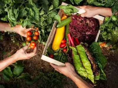 Solawi bei Schloss Blumenthal