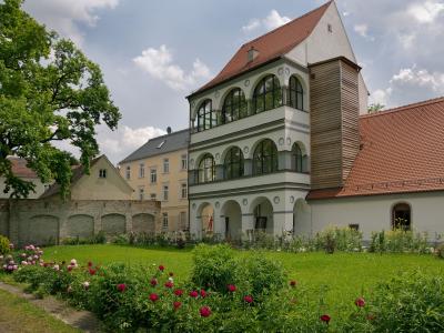 Das Bild zeigt die Rosen im Garten vor dem Fugger und Welser Erlebnismuseum. Bild Regio Augsburg Tourismus GmbH