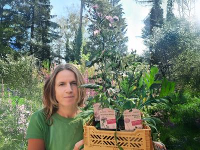 Karin Haslbeck WilderStadtgarten