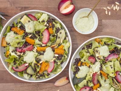 Das Bild zeigt einen bunten Salat mit grünem Salat, dunklen Linsen, grünen Zucchini und rotweißen Nektarinen. Bild Oekokiste e.V.