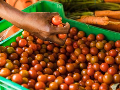 Kirschtomaten in einer Kiste. Foto: Freepick