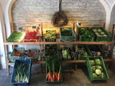 Foto zeigt verschiedenes frisches Gemüse aus dem Hofladen Höfle in grünen Kisten. Im Hintergrund ist eine weiße Steinwand mit einem gebundenen Kranz aus Ästen zu sehen.
