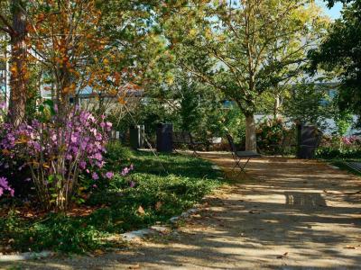 Foto von einer Parkbank im TONI-Parkareal