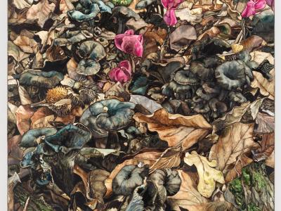 Nathan Peter: "trumpets and flora" 