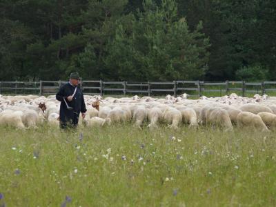 Lechtal-Lamm, Lechheide, regionale Lebensmittel, 