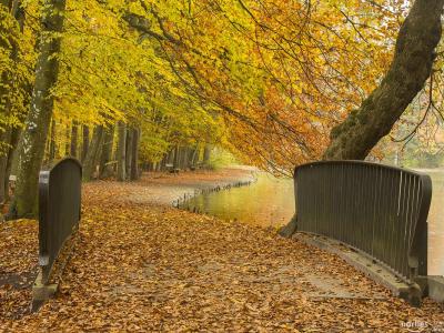 Stadtwald Augsburg, Freizeit, Radfahren, Foto: Norbert Liesz