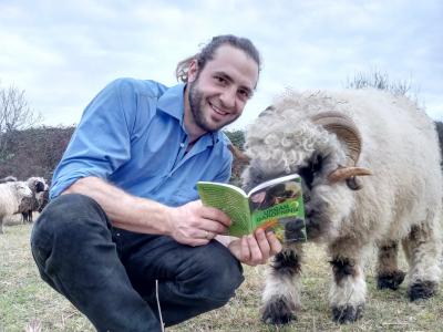 CityFarm Augsburg, Urban Gardening, Schwarznasenbock, Foto: Ildiko Remenyi-Vogt