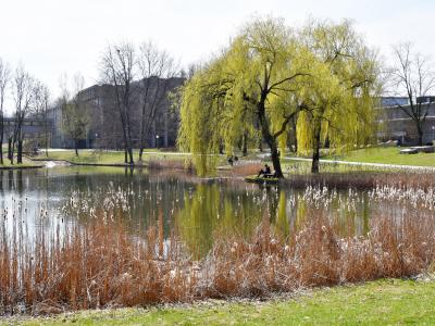 Universität Augsburg, Stadtlandschaften, Foto: Cynthia Matuszewski 