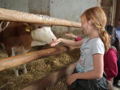 Klassenfahrt zum Bio-Bauernhof, Biostadt Augsburg, Ernährung, Lebensmittel, Bildung, Geswundheit, Foto: Michael Hochgemuth, Stadt Augsburg