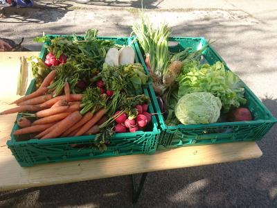 Foodsharing, Augsburg, Lebensmittel retten, Foto: Foodsharing Augsburg