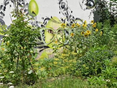 Ballonfabrik, Interkultureller Garten, Augsburg, foto_cynthia_matuszewski