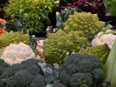 Gemüse, Foto: Cynthia Matuszewski 