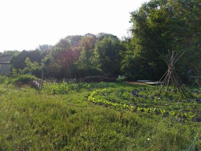 Nachbarschaftsgarten, Augsburg, Rechts der Wertach, Foto Tine Klink, Urban gardening