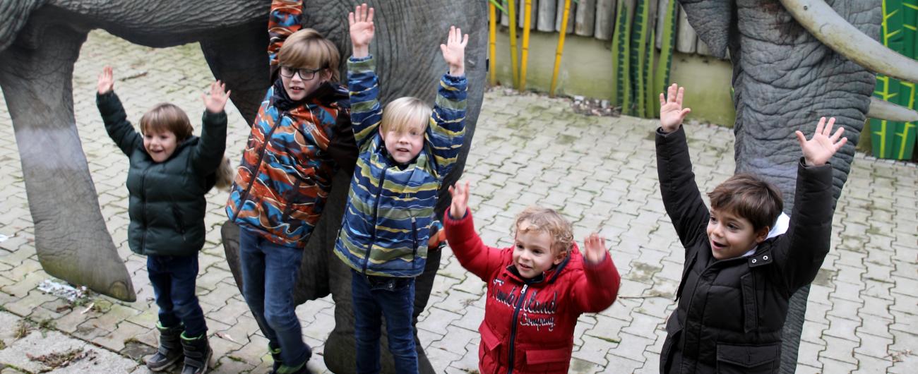 Kinderprogramm bei den Elefanten im Augsburger Zoo. Bild: Peter Bretscheider