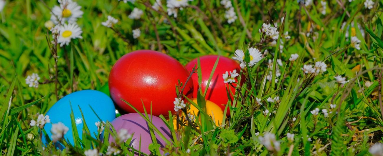 Bunte Ostereier in Frühlingswiese, Bild: Nicky auf Pixabay