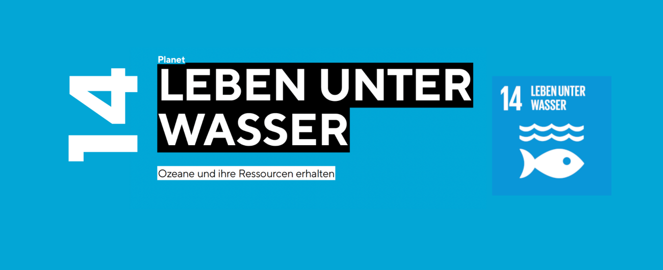 SDG 14: Leben unter Wasser