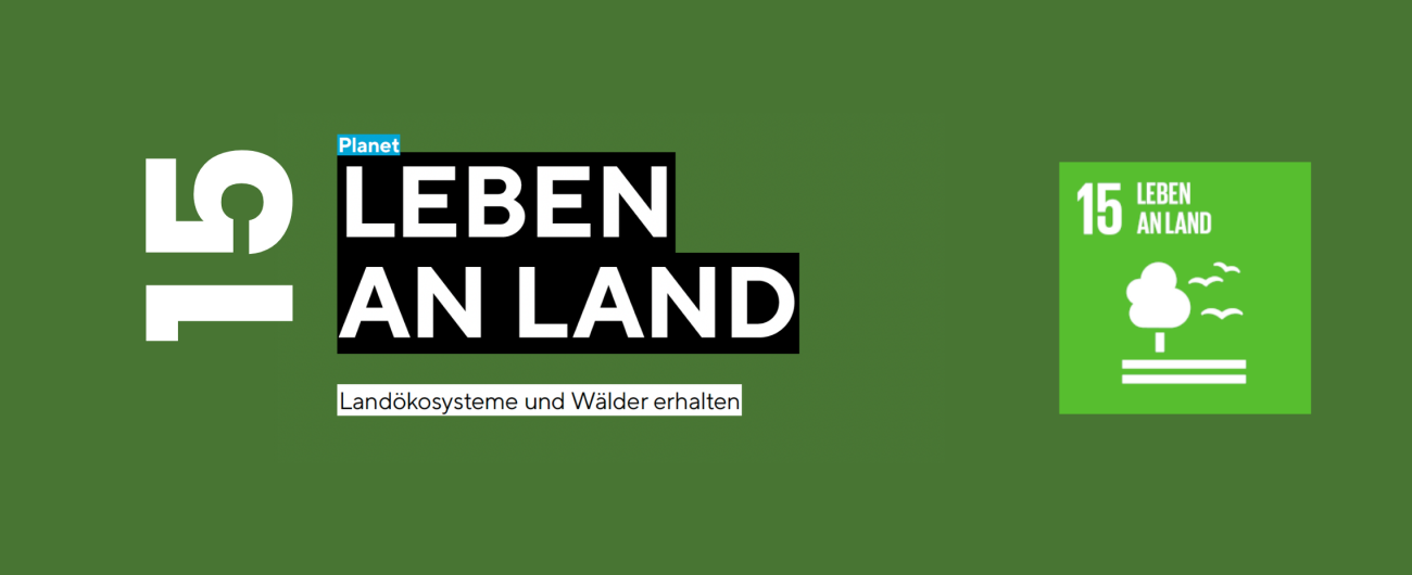 SDG 15: Leben an Land 