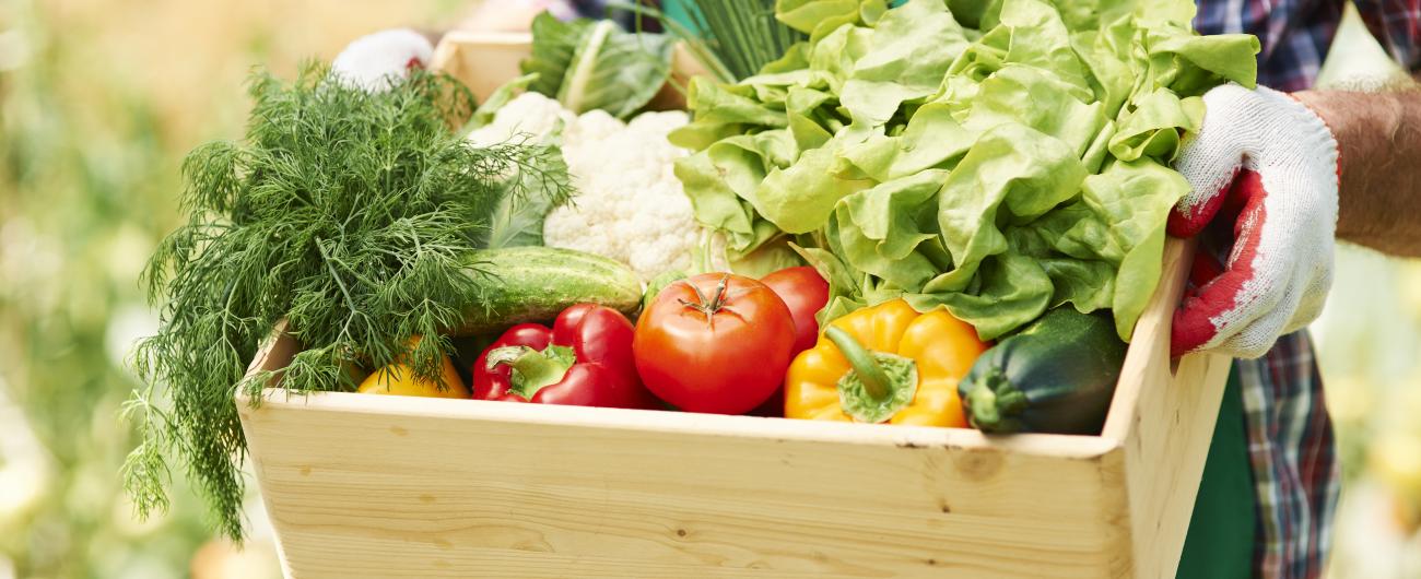 Eine Gemüsekiste frisch aus dem Garten, Foto: Freepik