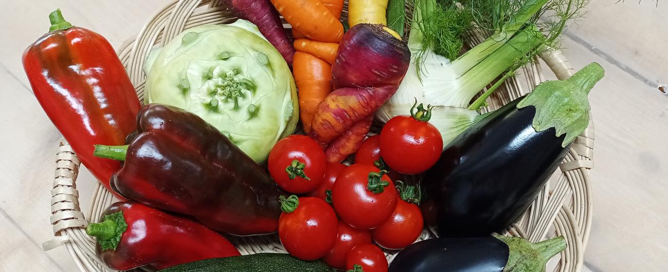 Ein gefüllter Gemüsekorb kann im Hofladen der Familie Dirr gekauft werden. Foto: Petra Dirr