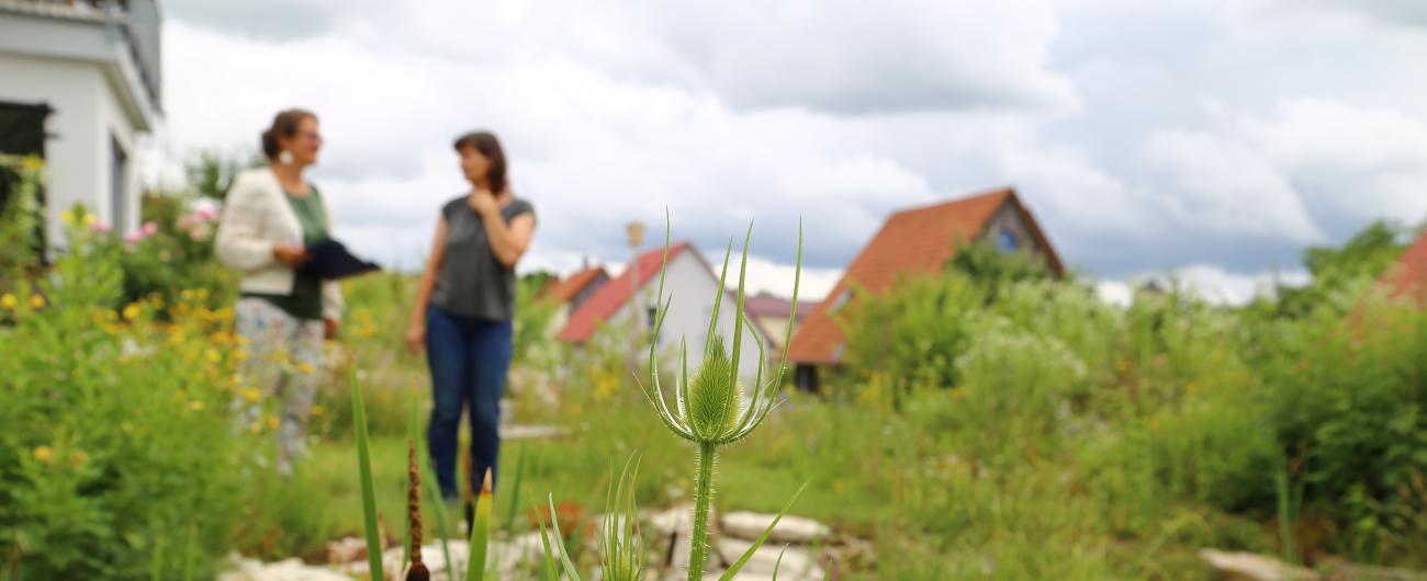 So kann eine Gartenbegehung einer Gartenjury aussehen: In einem grün blühenden Garten und einem Teich mit Seerosen. Urheberrecht: Carola Bria