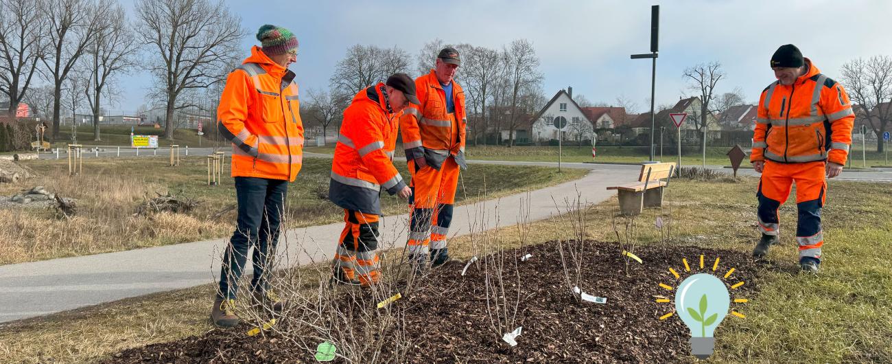 Arbeiter der Stadt Gersthofen in roten Montur bewundern die kleine Strauchpflanzen, die frisch gepflanzt worden sind. Foto: Stadt Gersthofen, Wera v. Witzleben