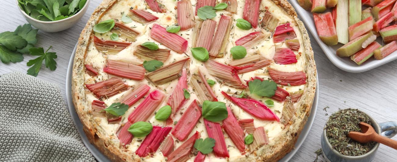 Das Bild zeigt einen runden Käsekuchen mit Sternen aus Rhabarber und mit Basilikumblätter verziert. Daneben steht am rechten unteren Rand ein Töpfchen mit Kräutern. Am rechten oberen Bildrand befindet sich eine Schüssel mit Rhabarber-Stücken und links neben dem Kuchen steht eine Schale mit Basilikum . Bild von oekokiste e.V. 