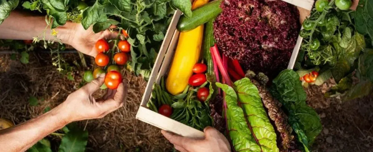 Solawi bei Schloss Blumenthal