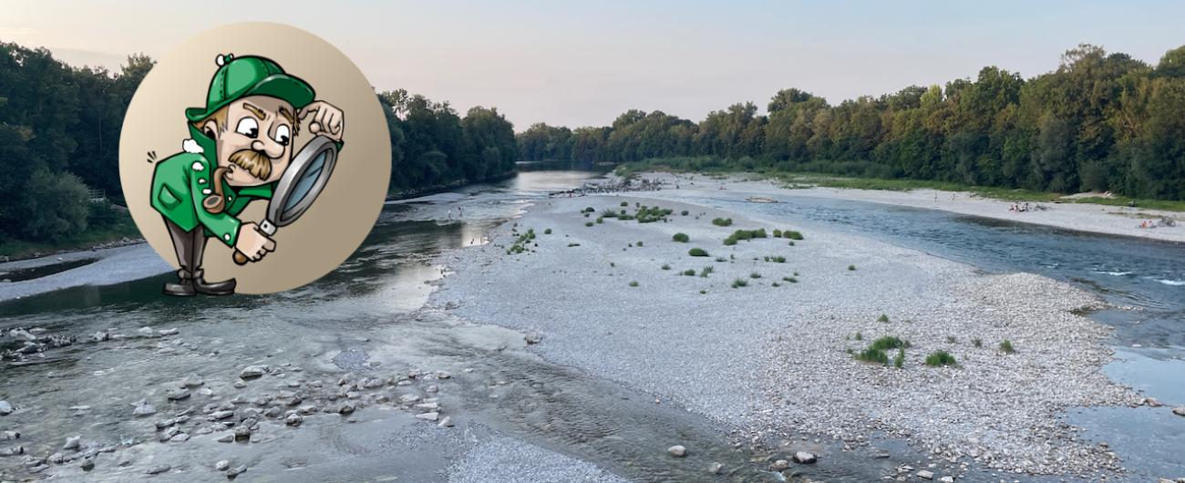 Das Bild zeigt den Fluss Lech mit seinen Sandbänken. Die Comicfigur eines Detektivs a la Sherlock Holmes schaut durch eine Lupe auf den Fluss hinab. Bild von Sylvia Schaab, Zeichnung von GraphicMama-team auf Pixabay.