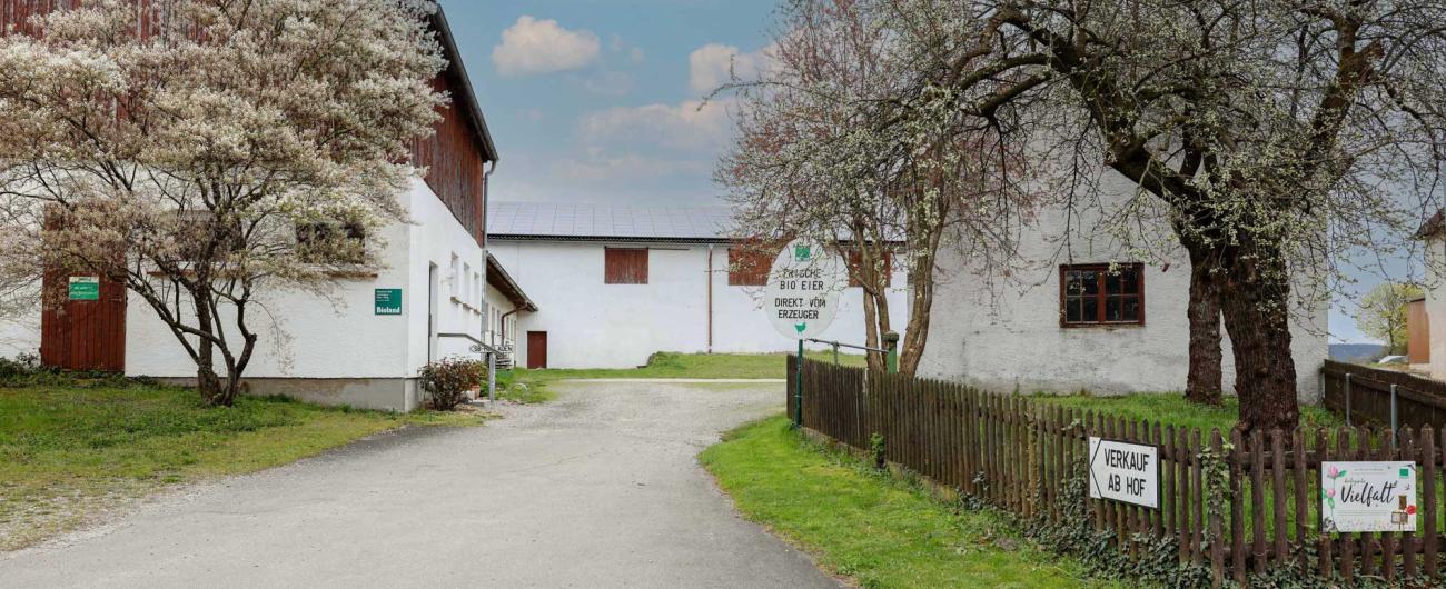 Einfahrt zum Biolandhof Schlossbauer in Kutzenhausen. Foto: Julia Pietsch