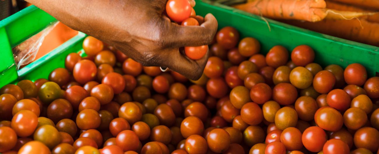 Kirschtomaten in einer Kiste. Foto: Freepick