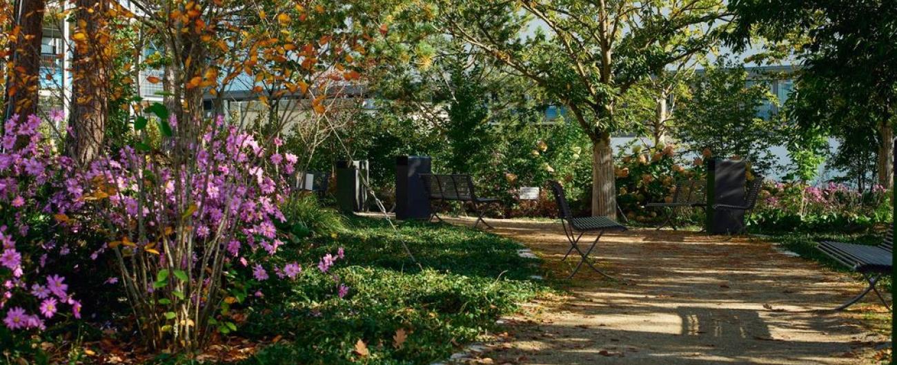 Foto von einer Parkbank im TONI-Parkareal