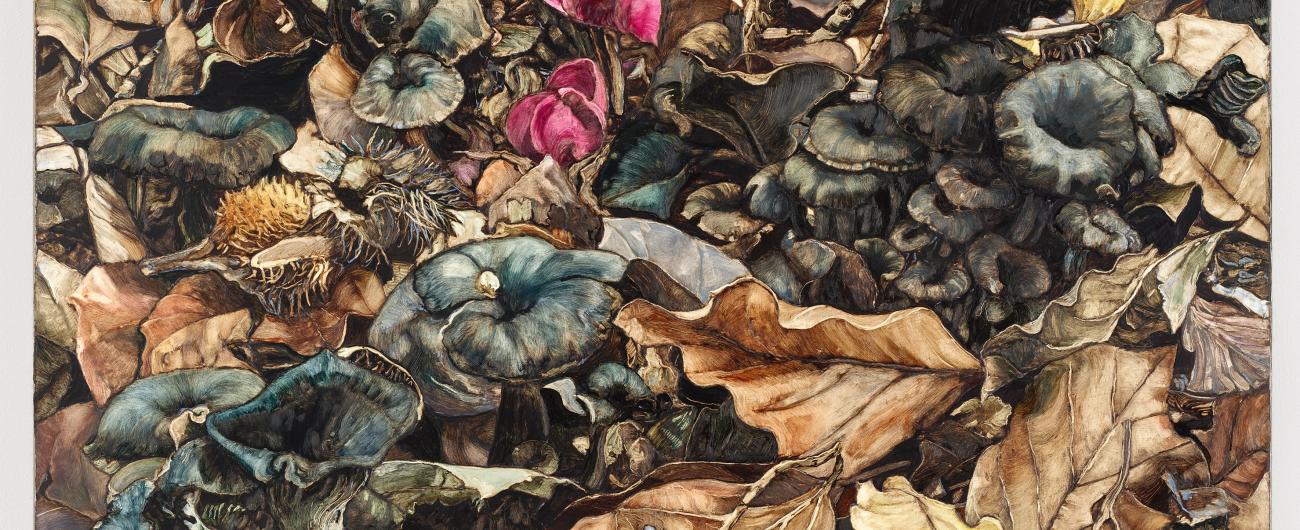 Nathan Peter: "trumpets and flora" 