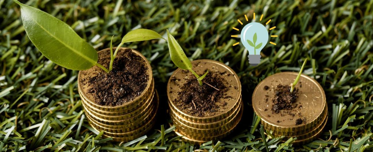 Drei Stapel goldener Münzen auf grünem Rasen. Auf jedem Münzstapel wachsen kleine grüne Pflanzentriebe aus Erde. Symbolbild für nachhaltiges Investment und Klimaschutz-Finanzierung.