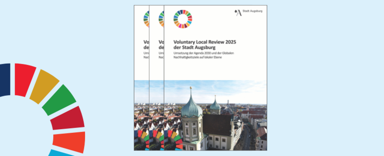 Voluntary Local Review