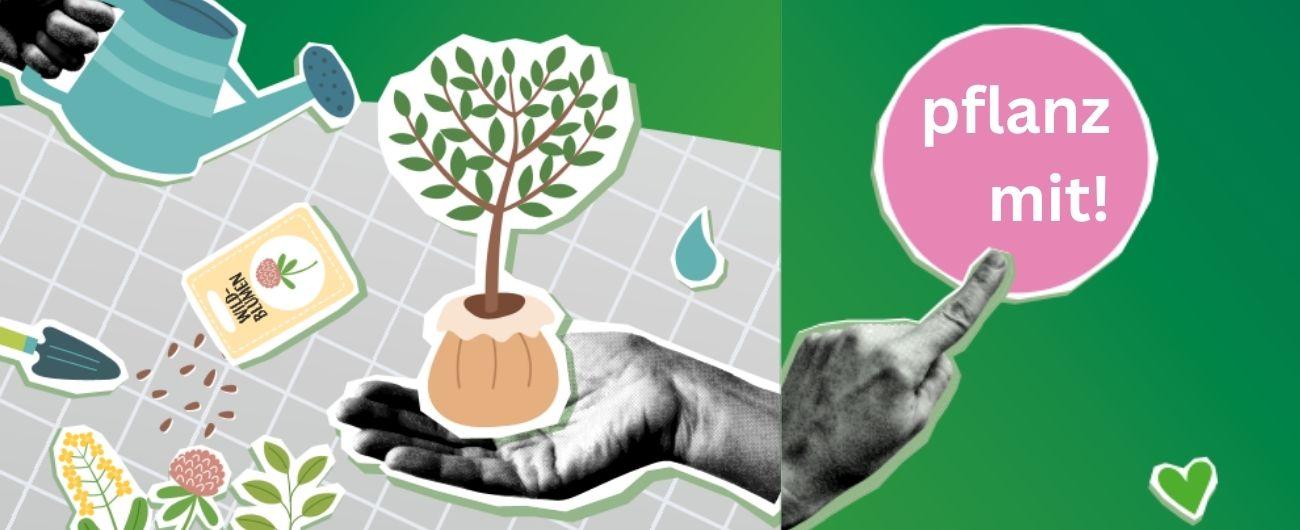 Header Kampgne "pflanz mit"