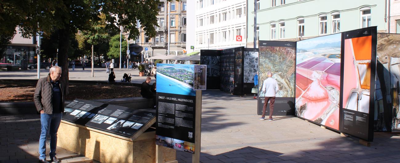 Ausstellung TERRA EXTRACT