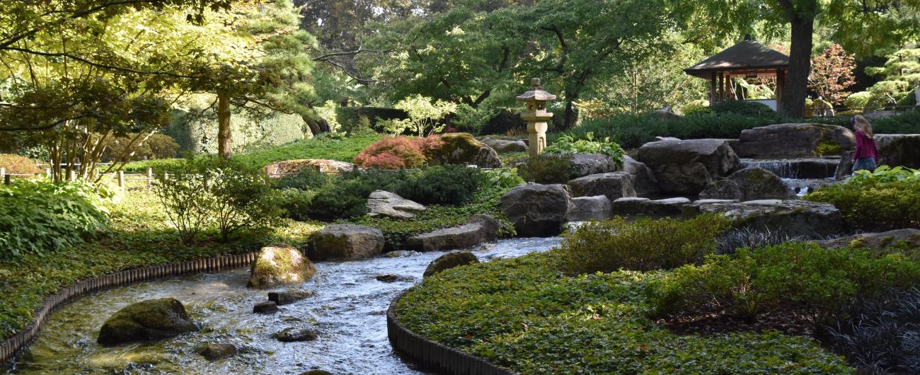 Botanischer Garten, Augsburg, Foto: Cynthia Matuszewski 