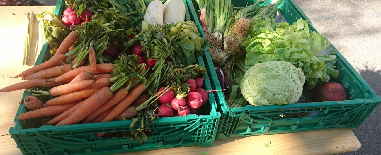 Foodsharing, Augsburg, Lebensmittel retten, Foto: Foodsharing Augsburg