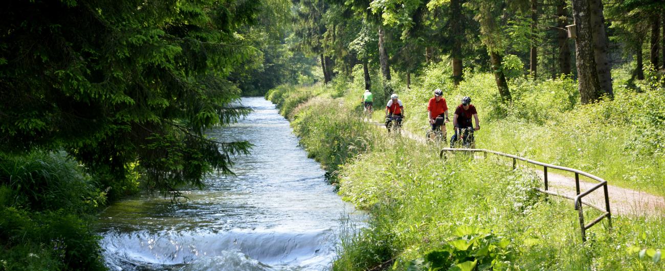 Fahrradtour am Lochbach im Sommer