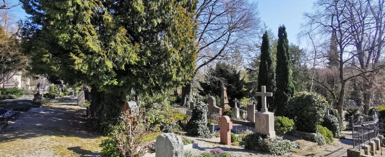 Der Protestantische Friedhof Augsburg engagiert sich für Artenvielfalt und Nachhaltigkeit. Foto: Daniel Kettemer