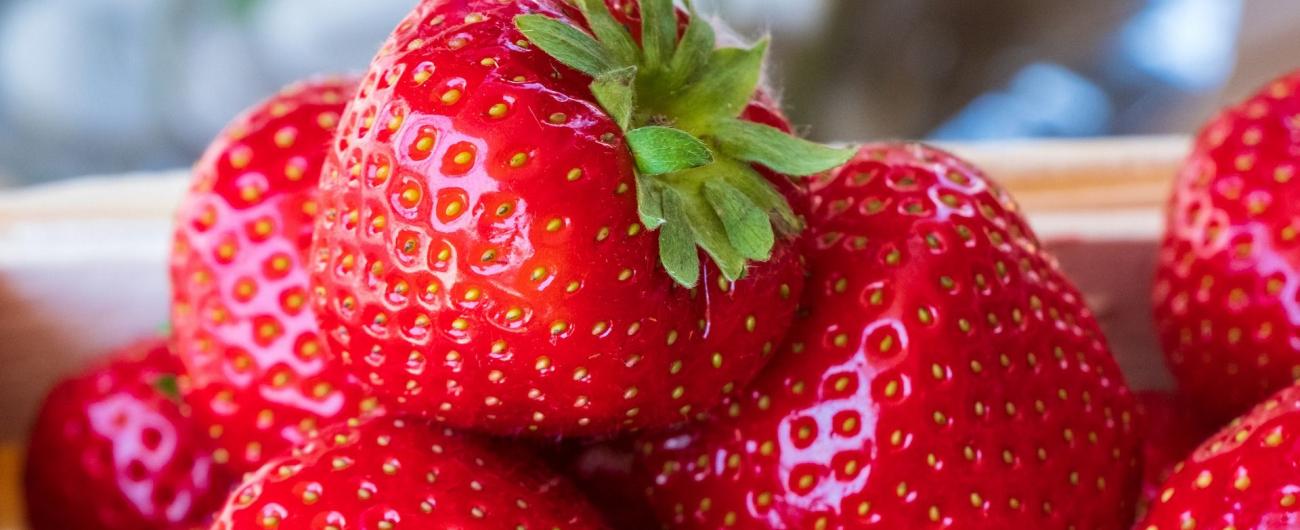 Erdbeeren, Foto: Pixabay