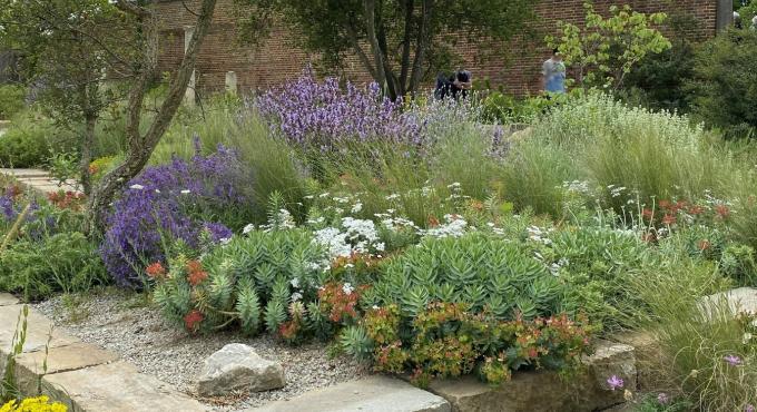 Durch eine geschickte Pflanzenwahl entsteht im Kiesgarten Artenvielfalt, Bild: Petra Schretle-Gumpp 