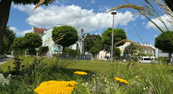 Der Platz an der Leipziger Straße wurde entsiegelt und großzügige Rasenflächen wurden angelegt. Dadurch verbessert sich die Biodiversität, das Klima und große Versickerungsflächen entstehen. Foto: Stadt Gersthofen (Wera von Witzleben)